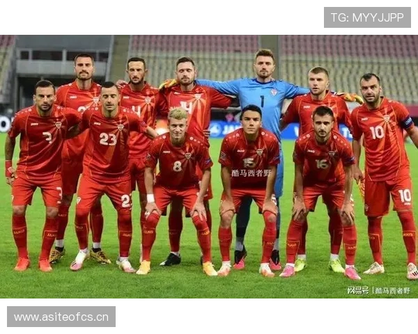 斯洛伐克独立后足球发展轨迹与国家队竞争力分析