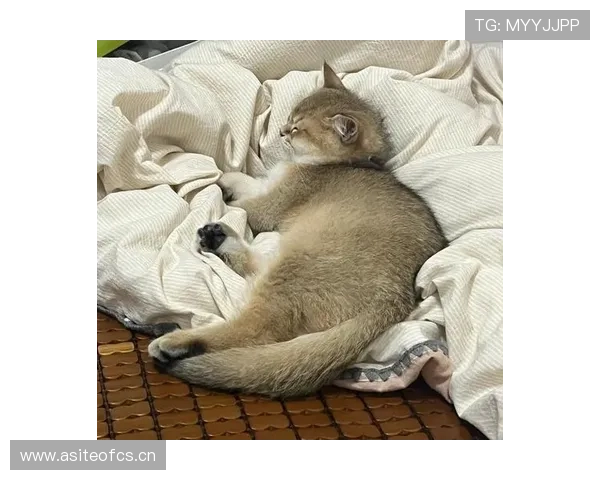 汪周雨训练完直接拎爱马仕去吃火锅，这反差谁懂啊